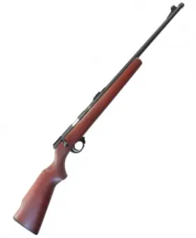 ARMSCOR M14 Hunting Rifle 22LR 